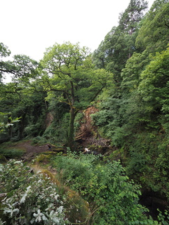 Aira force viewing platform
